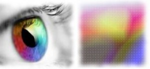 artist-learning-to-see-artist-perspective