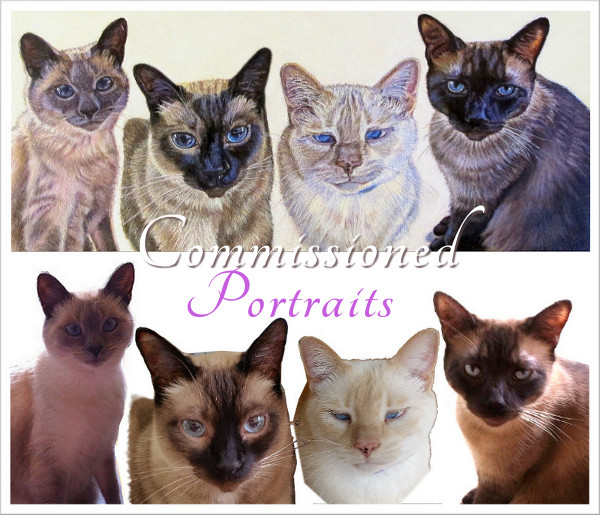 artist oil painting commission siamese cat family karin cohen